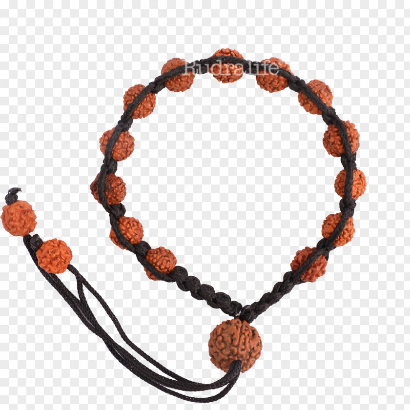 Rudraksha Bracelet Bead Rudralife Jewellery PNG
