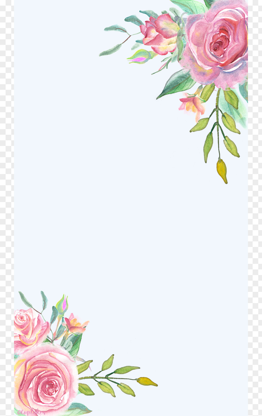 Watercolor White Flower Desktop Wallpaper Floral Design Home Screen PNG