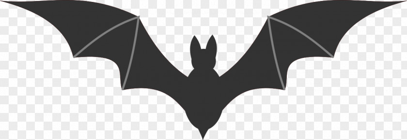 File Vector Bat Clip Art PNG