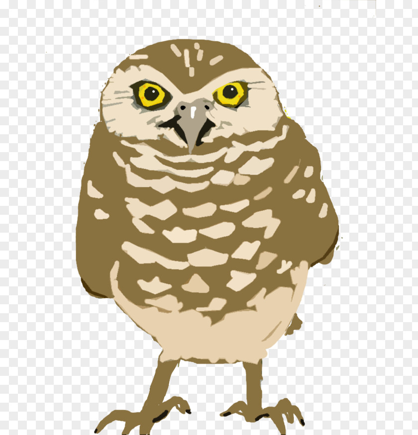 Owl Burrowing Great Horned Clip Art PNG