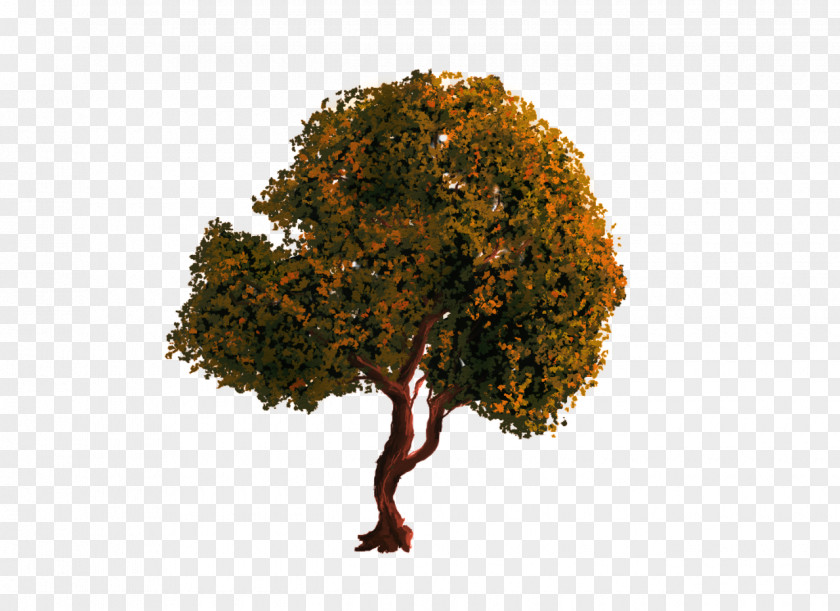 Tree PhotoScape Clip Art PNG