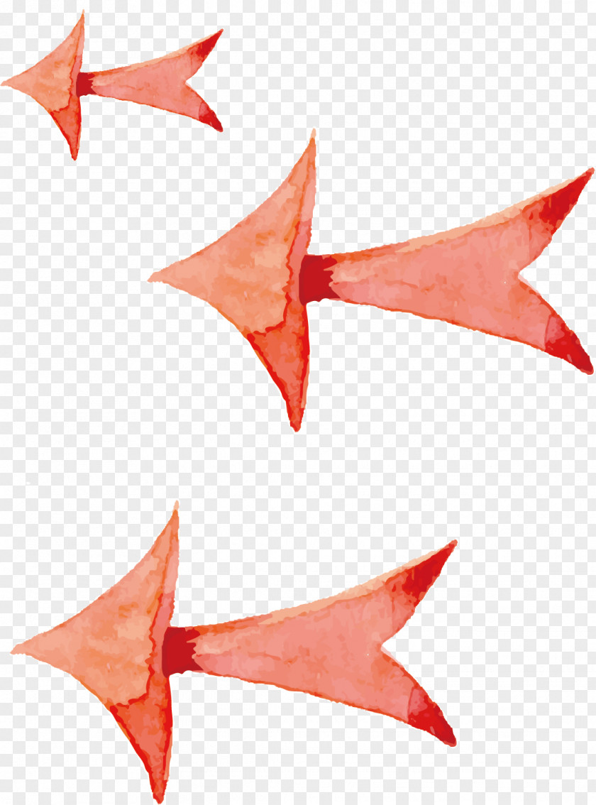 Vector Colored Arrows PNG