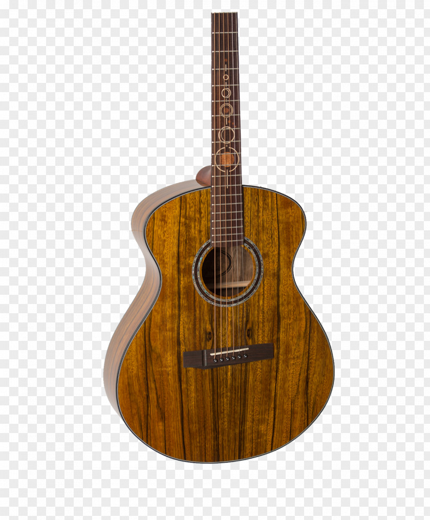 Acoustic Guitar Bass Ukulele Tiple Cuatro PNG