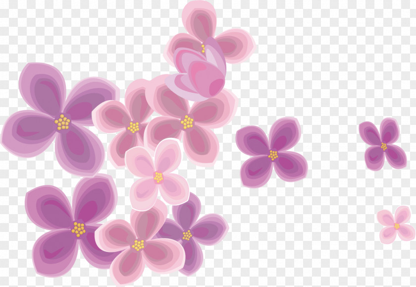 Cherry Background Material Blossom Cerasus Flower PNG