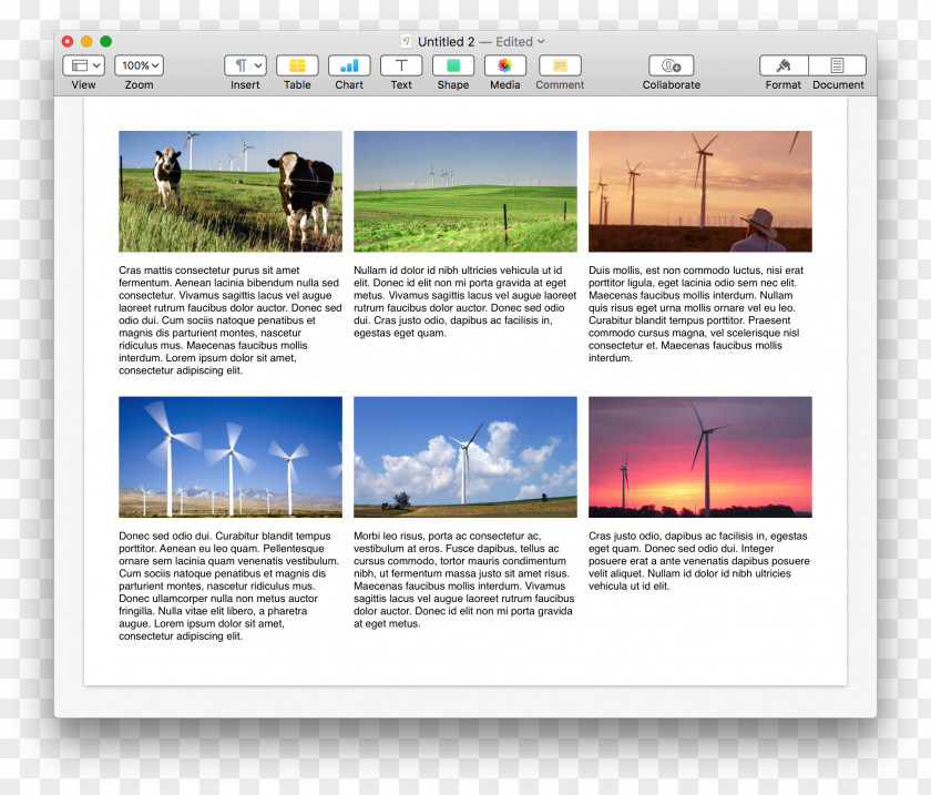 Horizontal Line IWork AppleScript Pages Web Page PNG