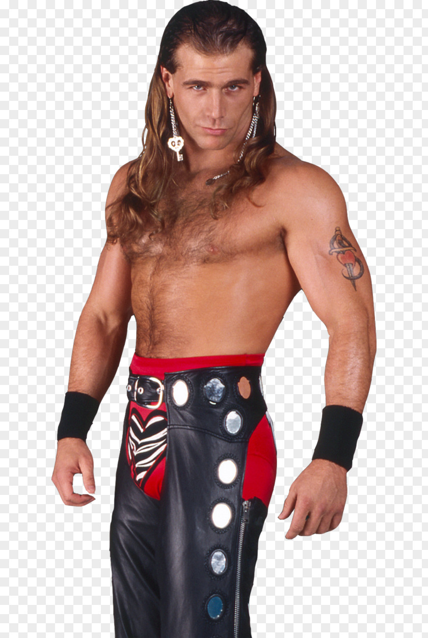 Shawn Michaels Rendering Heel WWE PNG WWE, shawn michaels clipart PNG