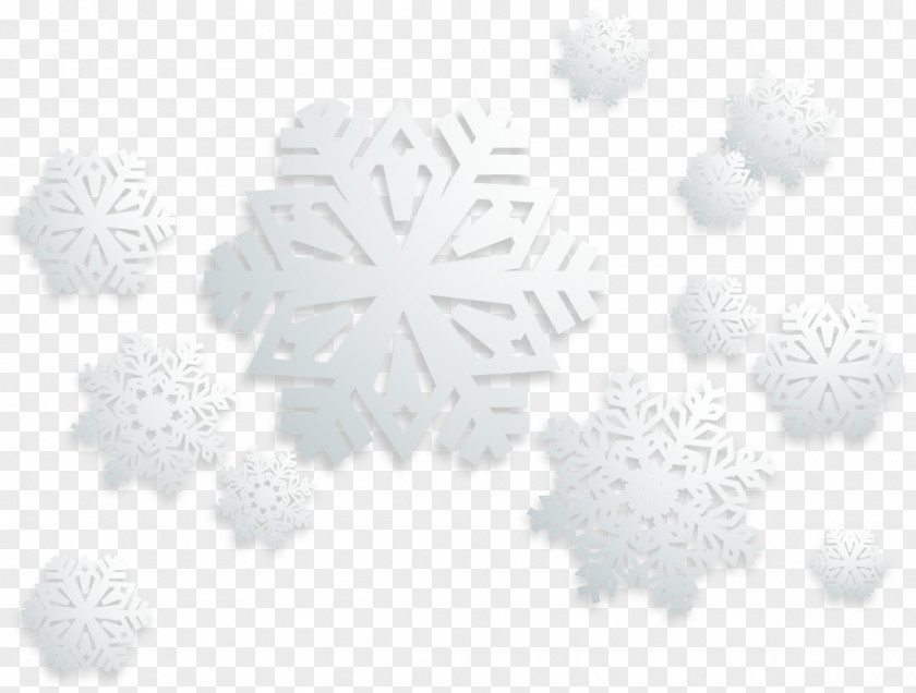 Sky Snow Winter Vector Material Black And White Snowflake Pattern PNG