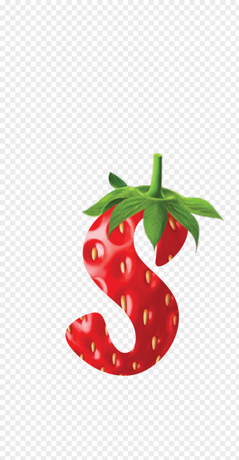 Watercolor Strawberry Logo Fruit Food Graphic Design PNG
