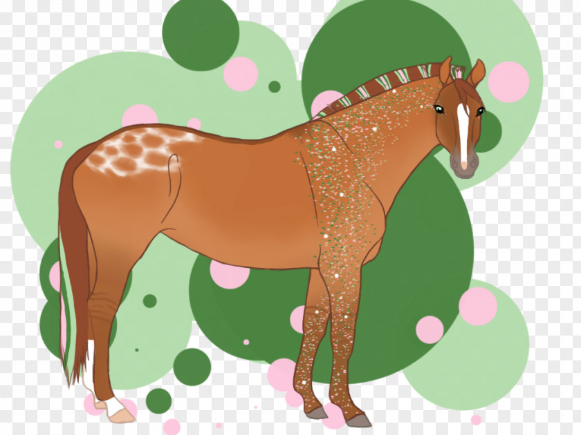 Mustang Foal Mare Stallion Colt PNG
