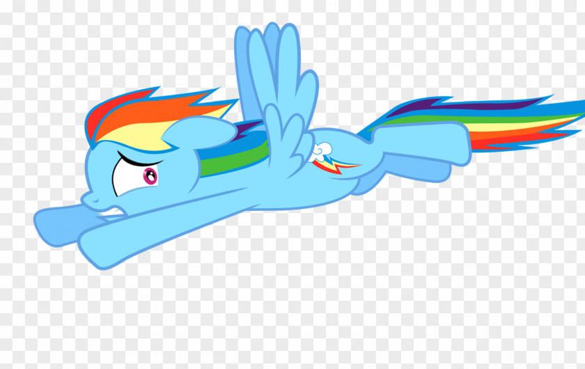 My Little Pony Rainbow Dash Derpy Hooves Fluttershy PNG