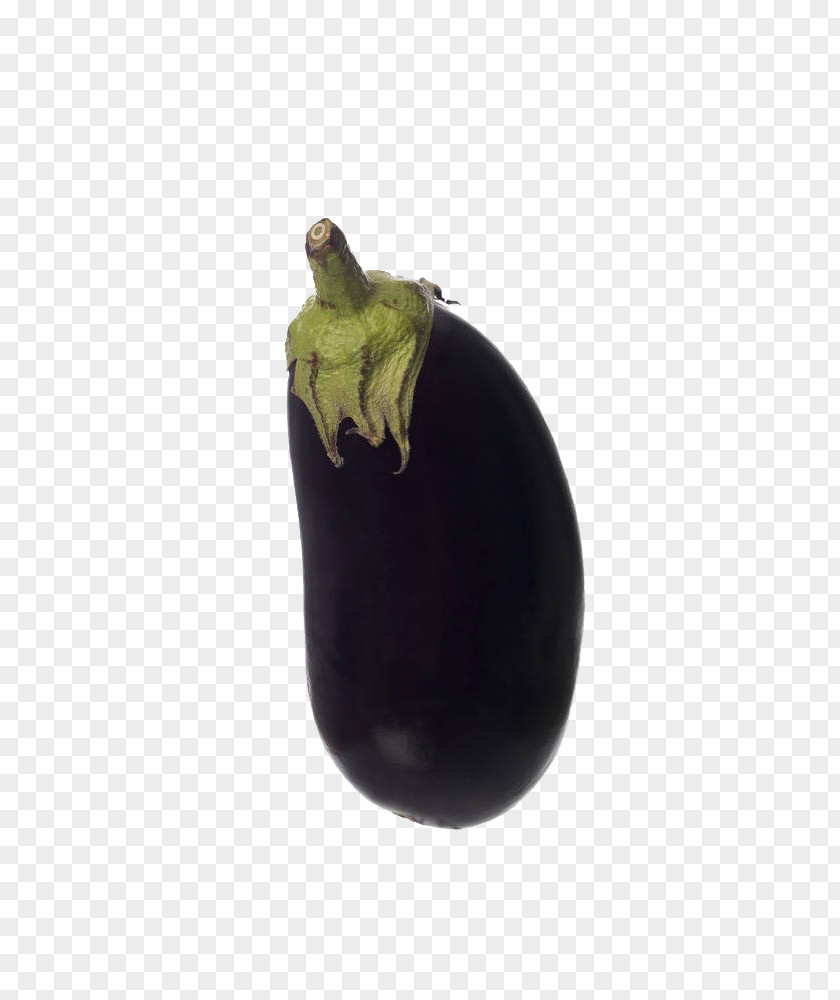Purple Eggplant Fruit PNG
