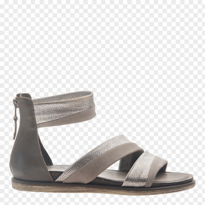Sandal Shoe Zinc Suede Metal PNG