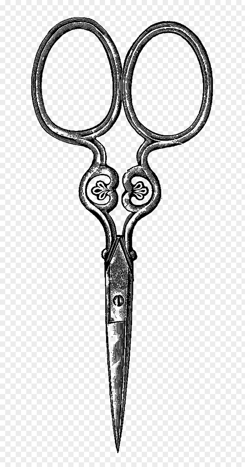 Scissors Drawing Sewing Notions PNG