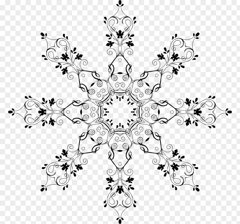 Snowflake Electric Charge Field Electricity Charged Particle PNG