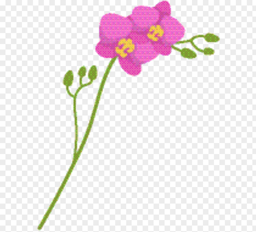 Wildflower Wallflower Pink Flower Cartoon PNG