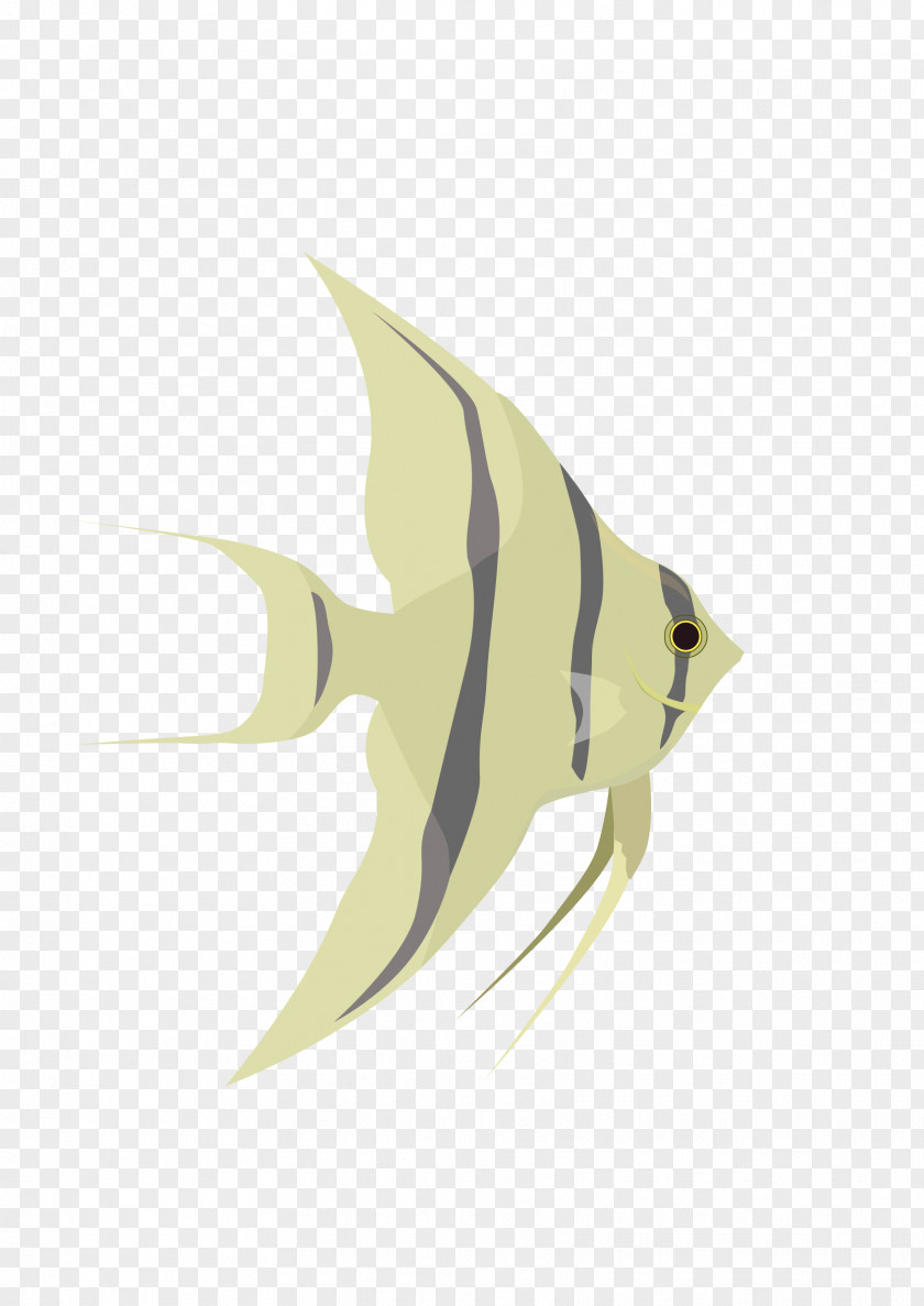 Angelfish Clip Art PNG