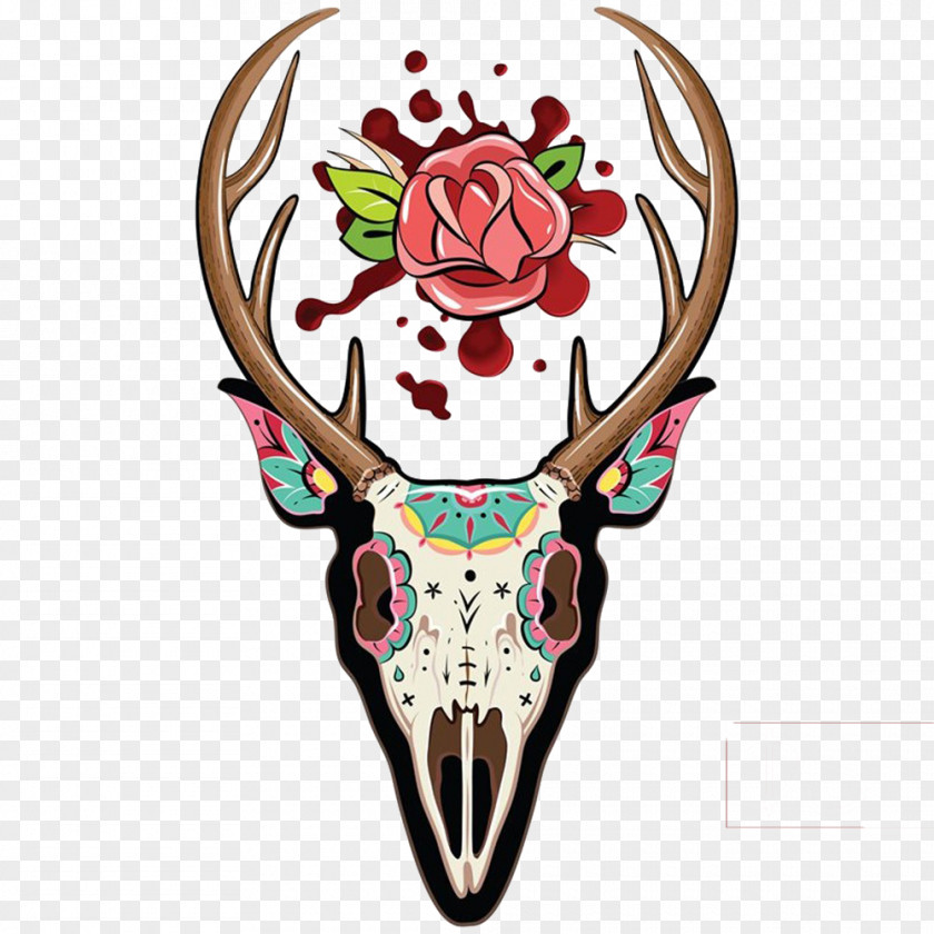 Beautiful Claw White-tailed Deer Skull Illustration PNG