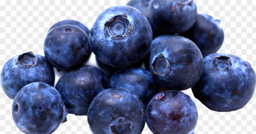 Blueberry Fruit Cheesecake Flavor PNG
