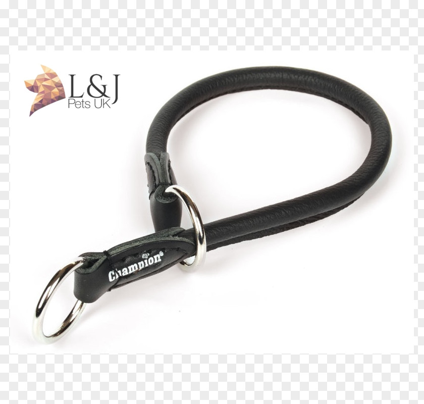 Chain Leash Collar Leather Skin Champion PNG