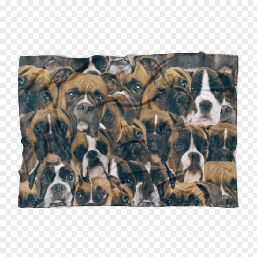 Dog Breed Snout Crossbreed PNG