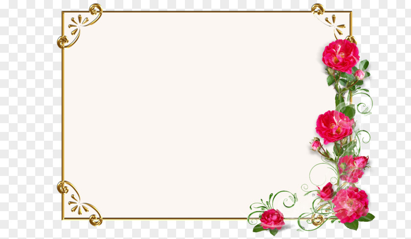 Flower Preservation Photography Picture Frames PNG