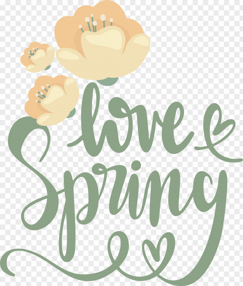 Floral Design PNG