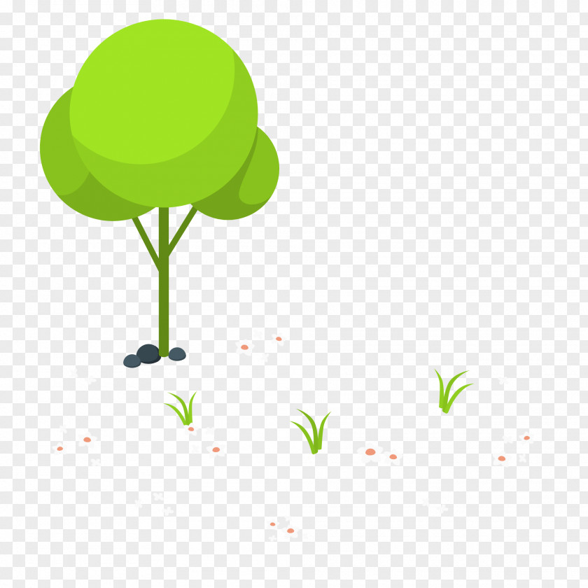 Leaf Plant Stem Green Tree Text PNG