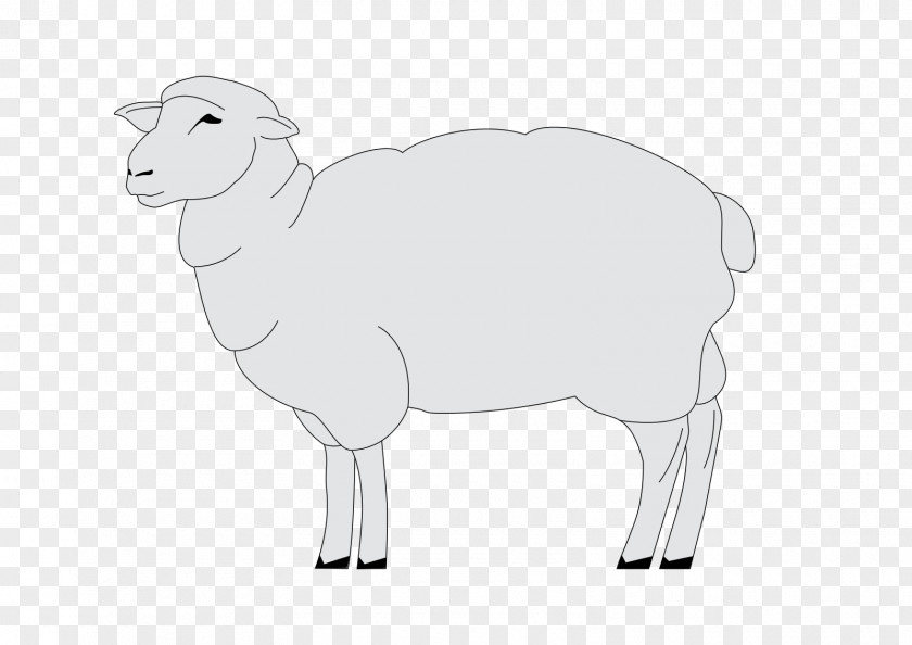 Sheep Cattle Goat Horse Mammal PNG