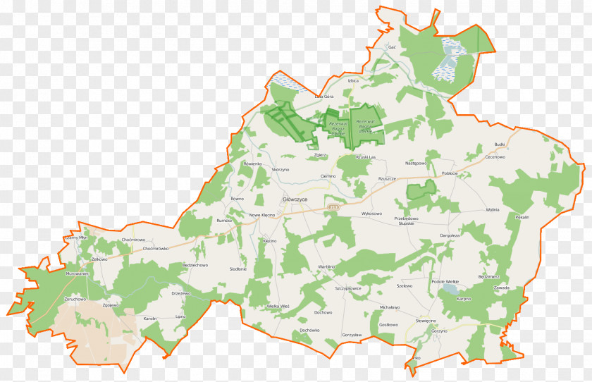 Big Map Kokoszki, Pomeranian Voivodeship Zgierz, Rzuszcze Cecenowo Poland PNG
