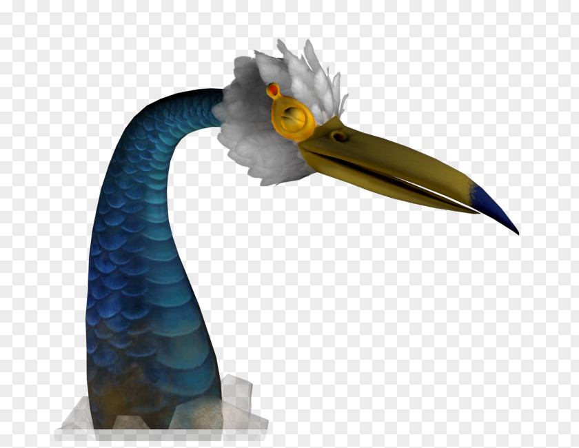 Bird Beak Feather PNG
