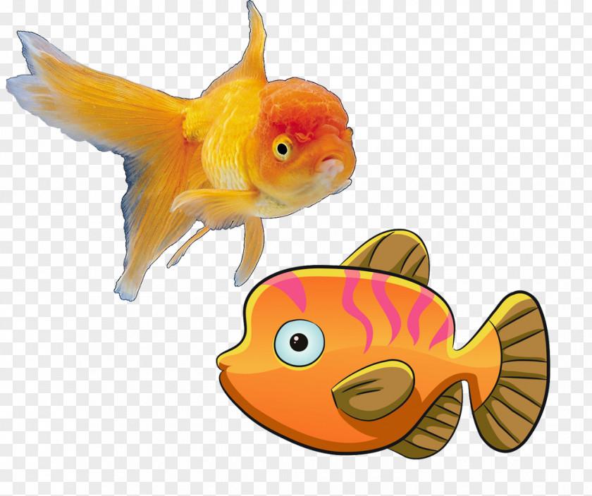 Fish Creative Figure Deep Sea Cartoon PNG