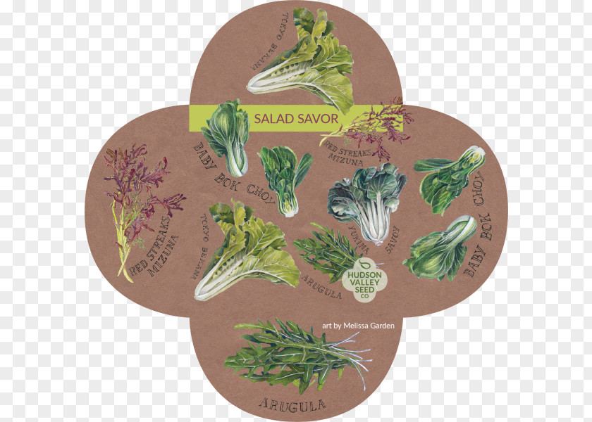 Hudson Valley Seed Company Herb Leaf Vegetable Library PNG