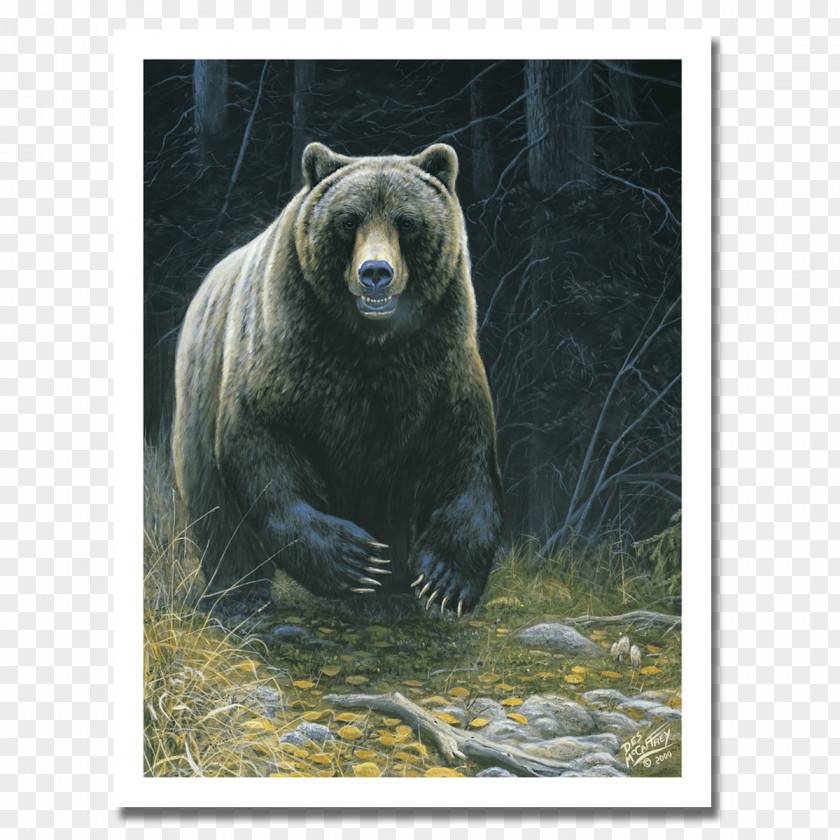 New Product Poster Grizzly Bear American Black Giant Panda Portraits PNG