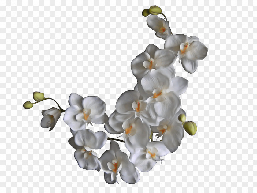Dendrobium Ceiling Silver Flower PNG