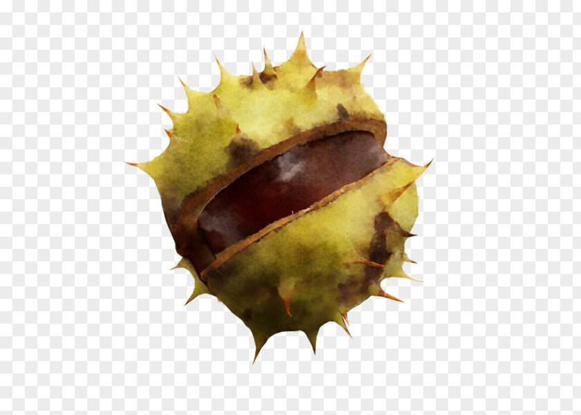 Leaf Close-up Chestnut PNG