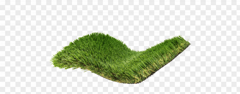 Mongolian Grassland And Lakes Artificial Turf Lawn Scutch Grass Carpet Mat PNG