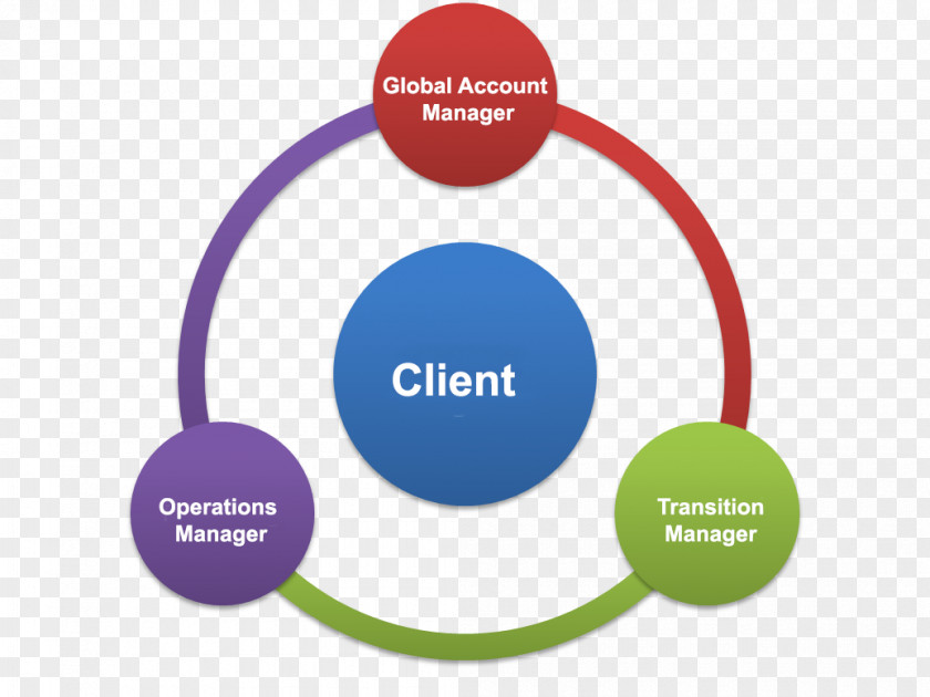 Portfolio Management Process Dogonbadan Brand Future PNG