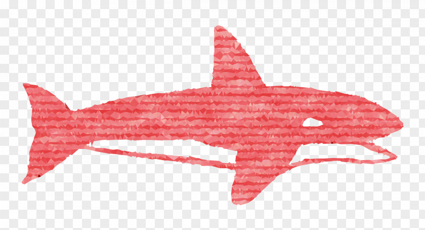 Requiem Sharks Marine Biology Mammal PNG
