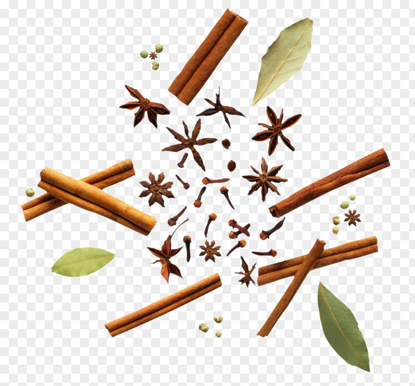 Smoking Cessation Cinnamon Stick Cartoon Star PNG