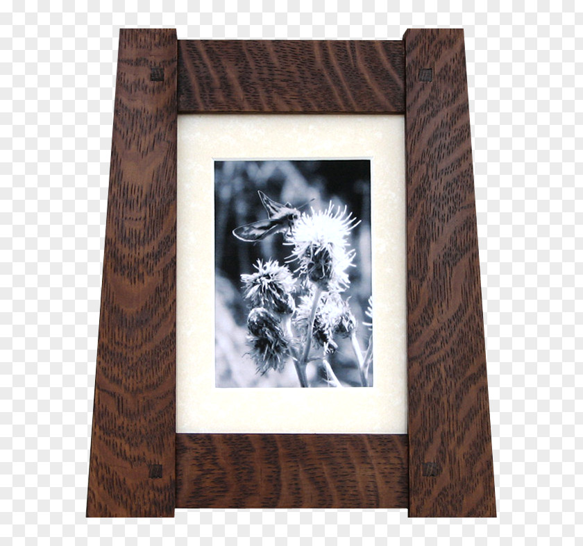 Solid Wood Craftsman Picture Frames /m/083vt Brown Rectangle PNG