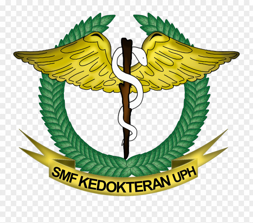 University Of Pelita Harapan Medical School Himpunan Mahasiswa Jurusan Badan Eksekutif The Christian Indonesia PNG