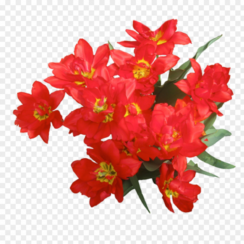 Gladiolus Birthday Cake Wish Happiness Greeting & Note Cards PNG