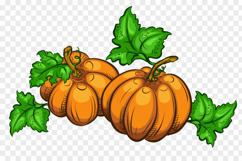Pumpkin Thanksgiving Day Animation Wish PNG
