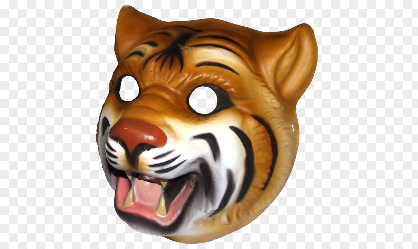 Tiger White Mask Face Child PNG