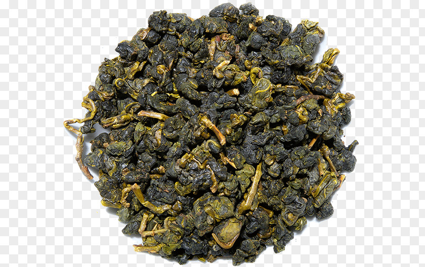 Tea Oolong Nilgiri Gunpowder Earl Grey PNG