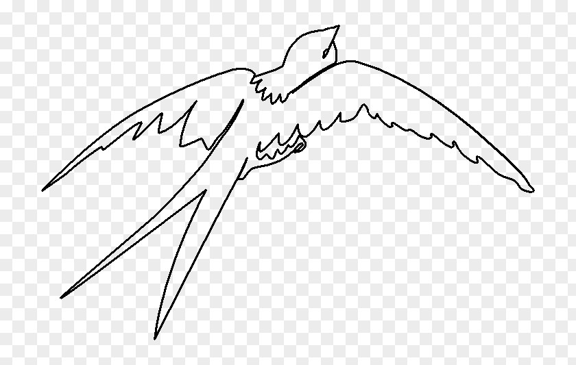 Bird Barn Swallow Drawing PNG