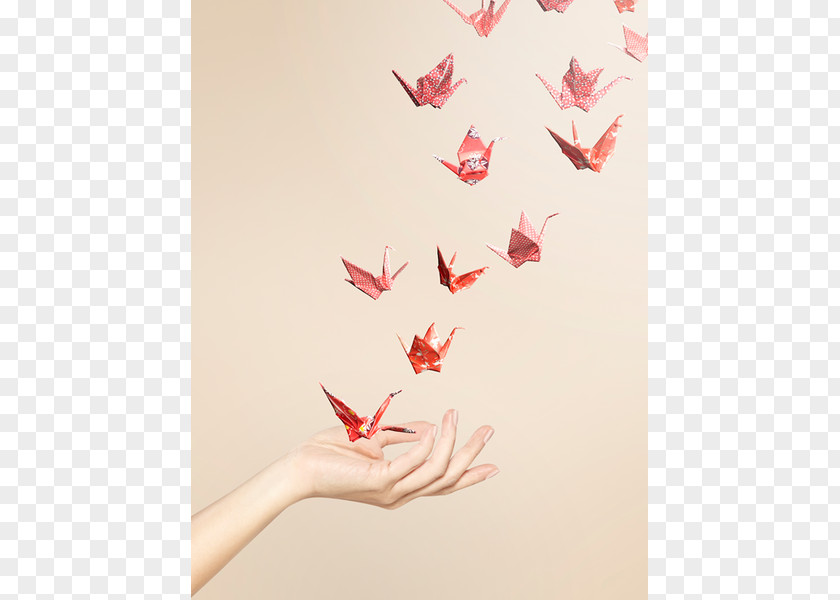 Crane Sadako And The Thousand Paper Cranes Origami Orizuru PNG