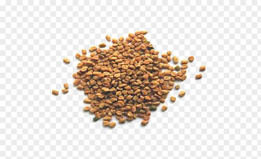 Fenugreek Organic Herb Spice Food Caraway PNG