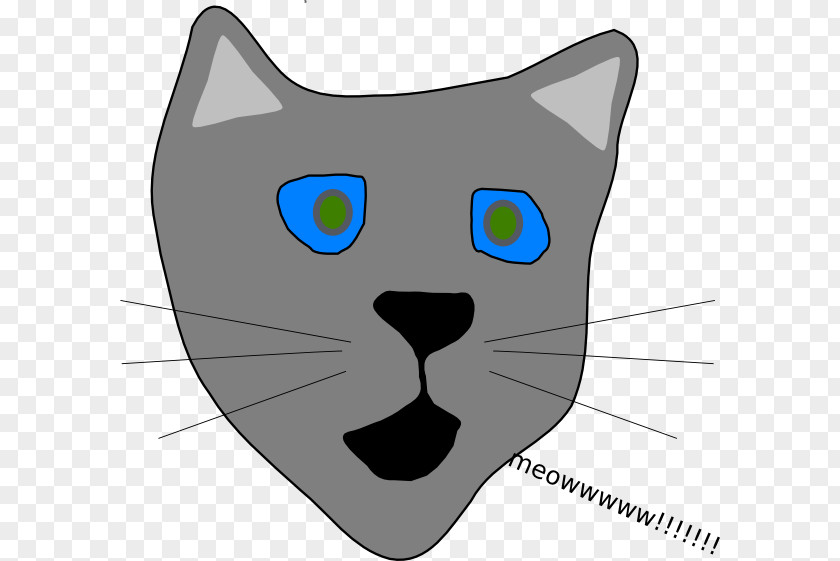 Kitten Whiskers Korat Domestic Short-haired Cat Black PNG