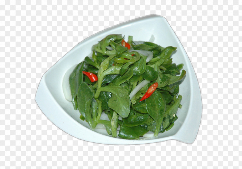 Purslane Salad Common Vegetable Vegetarian Cuisine Food Eating PNG
